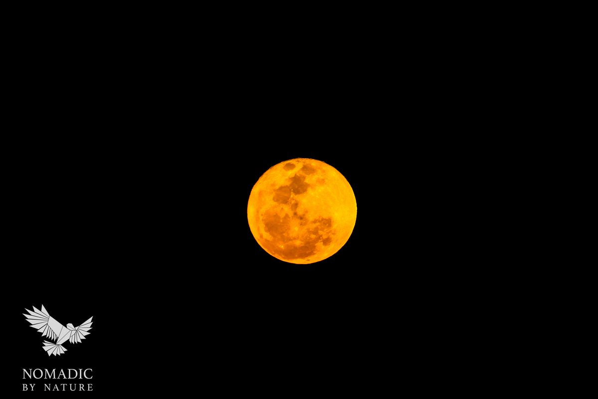 The #supermoon from the #okavangodelta #lostinbots #afritravel bit.ly/2f7xUzj