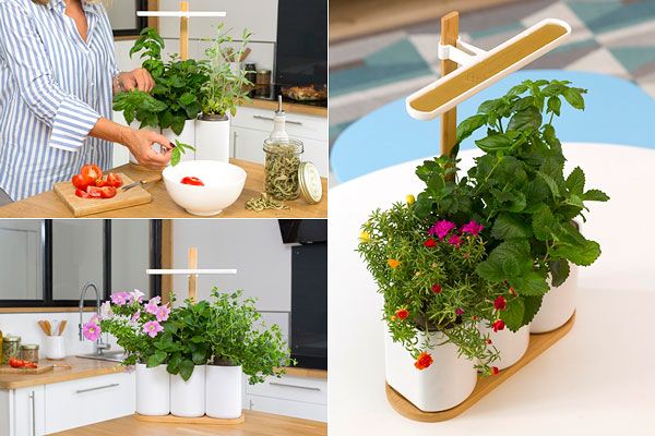 photographepro's tweet photo. Prêt à pousser - Lilo, le potager d'intérieur https://t.co/6y8cS4OnaT … via @photographie @FranckBeloncle @Pretapousser #potager https://t.co/ibQMb7BHme