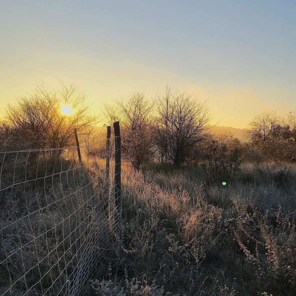 HUNDERTMARK tweet media