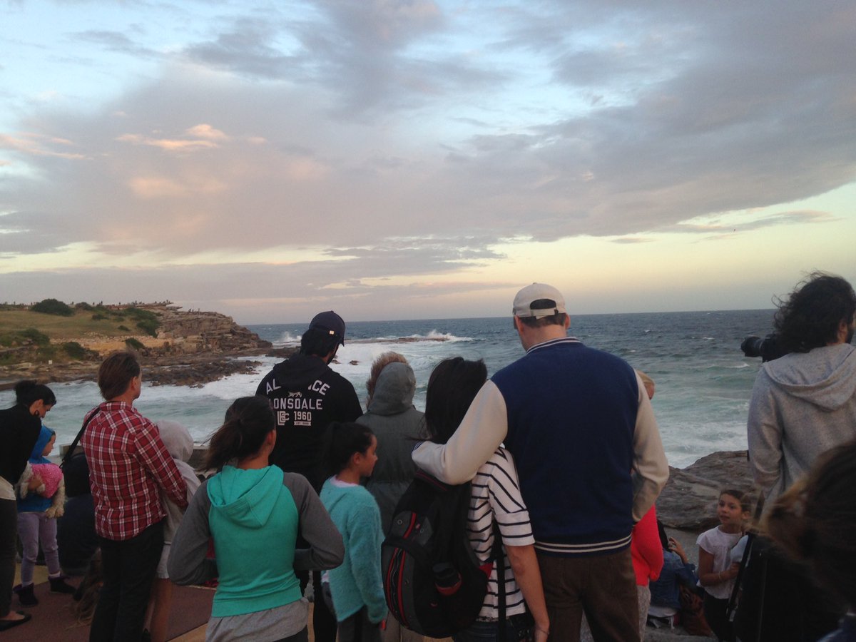Charleyranbad's tweet photo. Hurry up #supermoon in Sydney!
#supercold
#superpacked https://t.co/q3pn8oCo4e