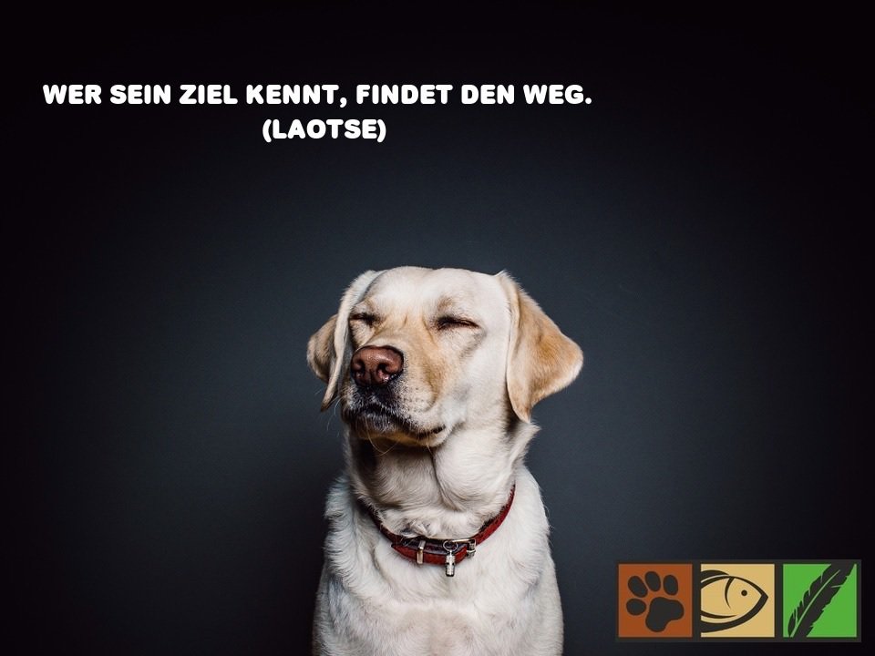 Das Team von Meine Haustierwelt wünscht euch einen guten #Wochenstart! :)