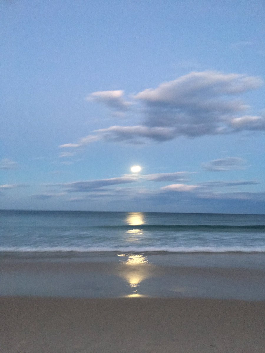 BrentRein's tweet photo. Ohh turns out everyone's here to watch the super moon rise!! Glad I came to the beach today 😇 #burleigh #surfersparadise #supermoon #bcpoli https://t.co/YBzsKjGg0g