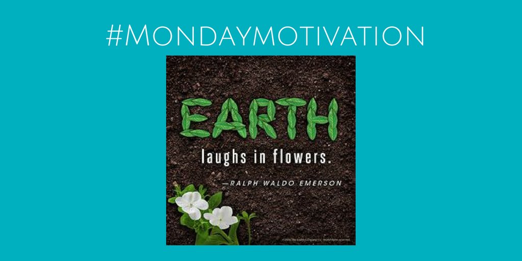 CuparGC's tweet photo. Make it a great day. Some #mondaymotivation 'Earth Laughs in Flowers' https://t.co/RTLivaj1d1