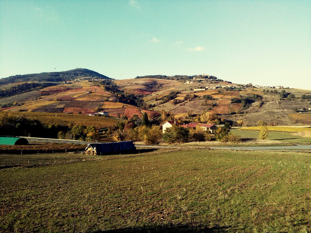Voilà ce que je pense du beaujolais nouveau. Dans cet article.
davidlarge.fr/new-boj/