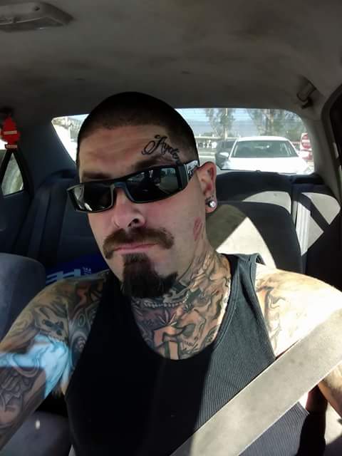 iamfreecode's tweet image. 