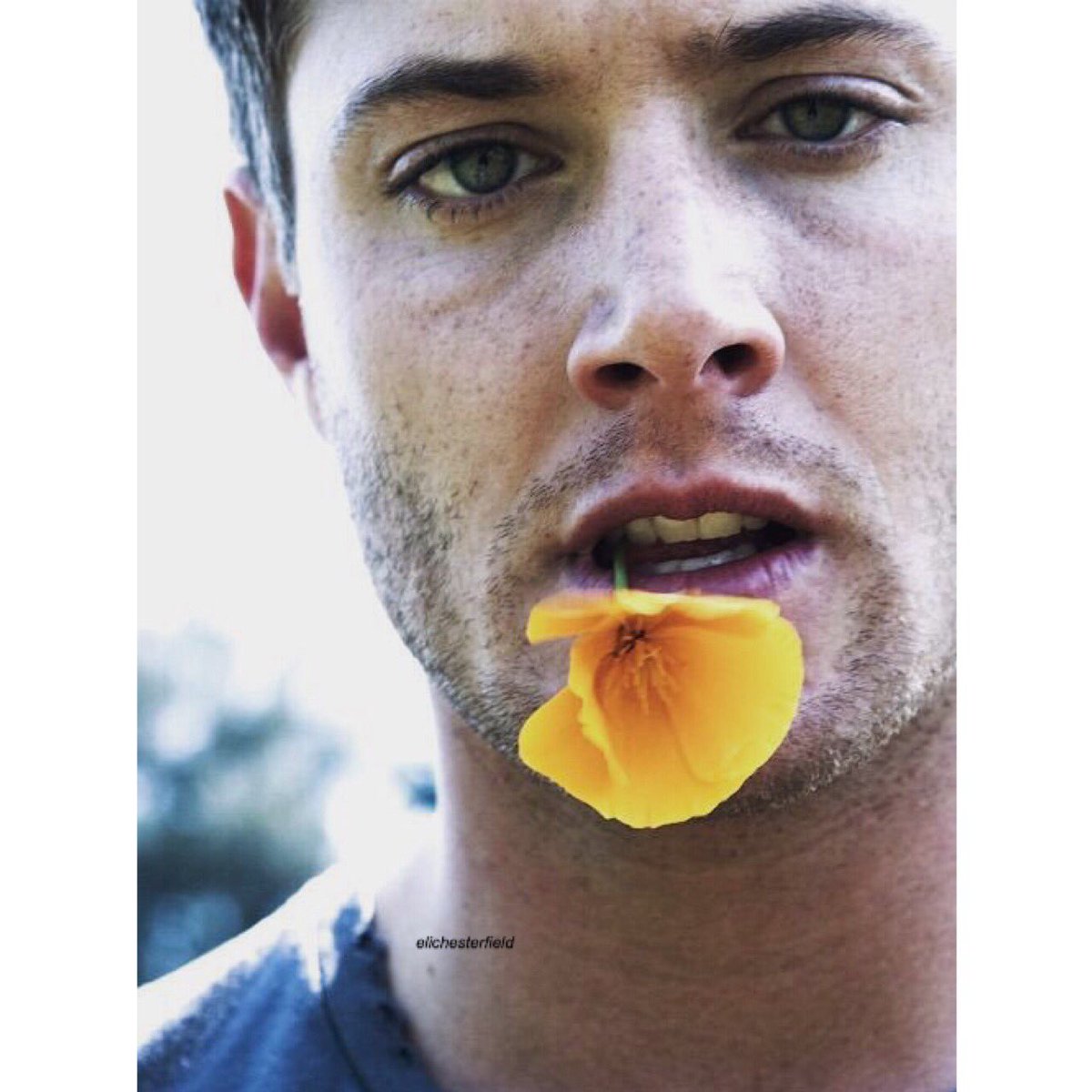 elichesterfield's tweet photo. ⠀ ⠀⠀⠀‘ did you fall from heaven? ⠀ ⠀⠀⠀⠀ ⠀because so did Satan. ’ https://t.co/jPW6Jj3m0c