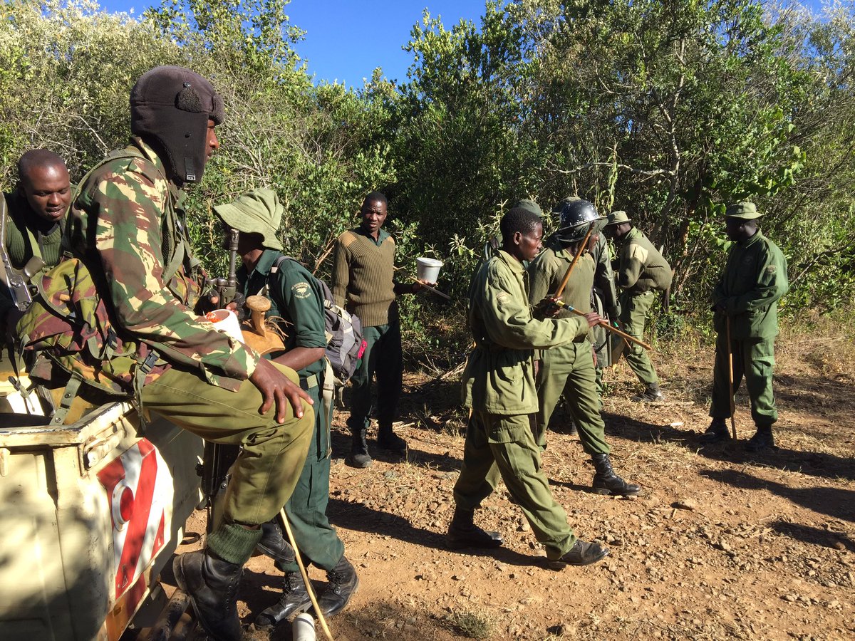 Gingerwink's tweet photo. Excited to be working on an anti #poaching film with #gallmann #conservancy #kenya #conservation #elephants https://t.co/F0TQJQqUyT