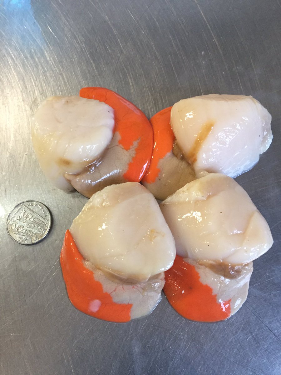 Look at these big boys ! Sat next to 10p <a href="/PengellysFish/">Pengellys</a> <a href="/Halcyon894/">Ed Russell - Halcyon</a> <a href="/Love_Looe/">Love Looe</a> <a href="/CwllFoodandDrin/">Duchy Food & Drink</a>