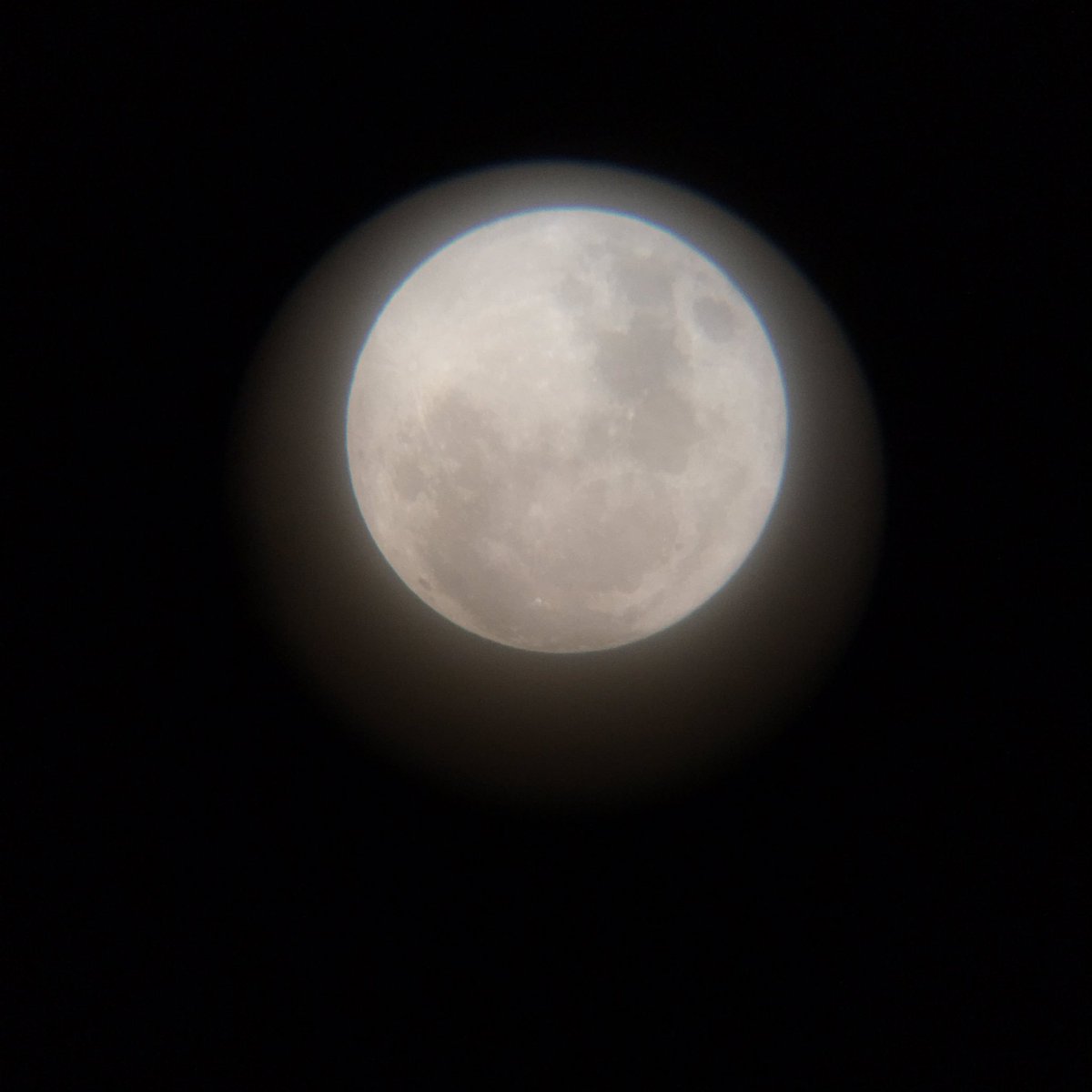 A bit cloudy but here's our view in Bendigo, Australia #supermoon