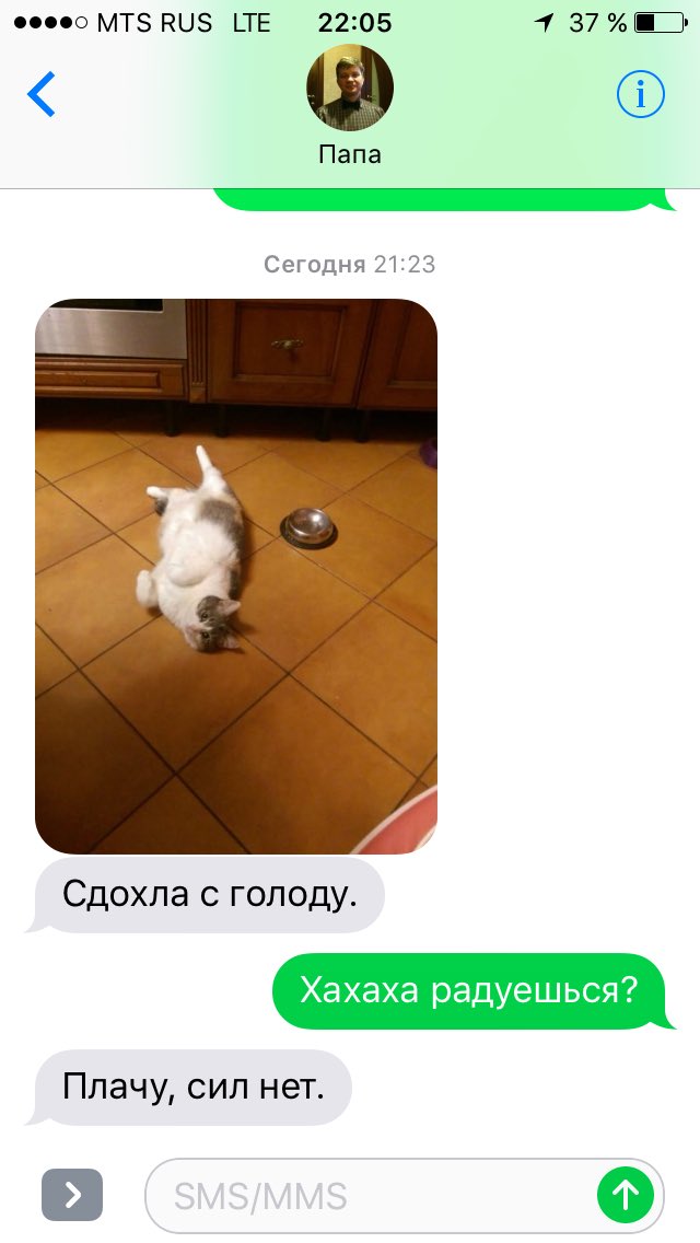 gaalyaaa's tweet image. Папа остался на выходные с кошкой
