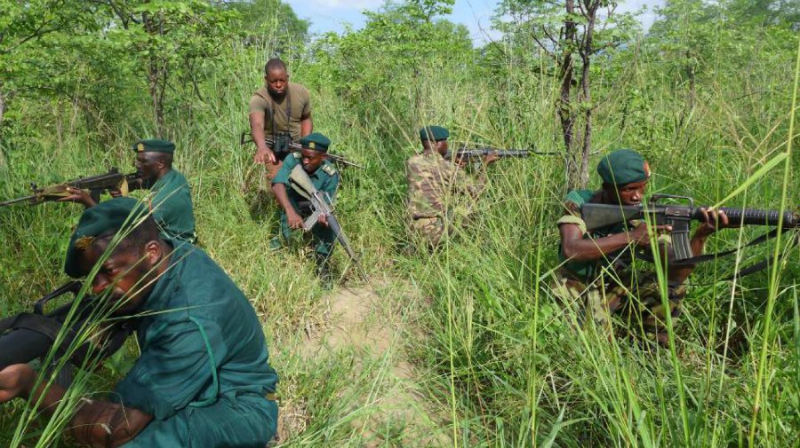Foreign, Commonwealth & Development Office (@fcdogovuk) on Twitter photo .<a href="/DanBucknell/">Dan Bucknell</a> on how we tackle wildlife crimes worth nearly $20 billion per year #EndWildlifeCrime #GlobalBritain ow.ly/ZyW83068Vml .<a href="/DanBucknell/">Dan Bucknell</a> on how we tackle wildlife crimes worth nearly $20 billion per year #EndWildlifeCrime #GlobalBritain ow.ly/ZyW83068Vml