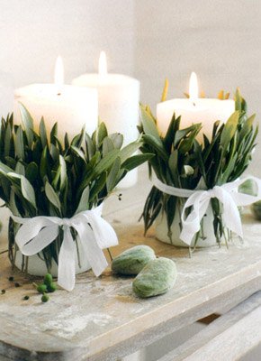 AceitesOlivaES's tweet photo. El #olivo para decorar, el #aceitedeoliva #vigenextra para regalar. https://t.co/2gJeJP98Le
#aove #boda #decoración https://t.co/2MBqrbrKWX