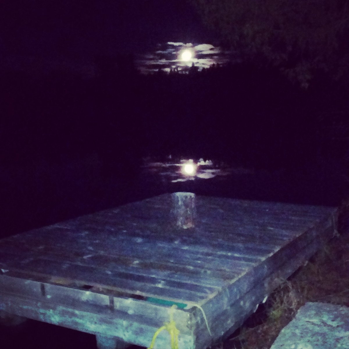 justagirl66's tweet photo. #supermoon2016 #DelaurierLake #novembersupermoon #lakereflection https://t.co/NoZXBW6KmF