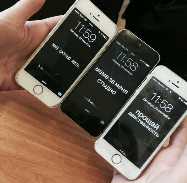 кися (@koroleva4566) on Twitter photo 