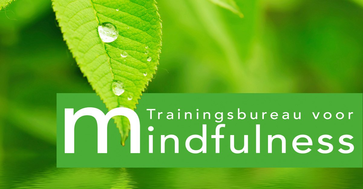Wil je meer over #Mindfulness weten? Volg morgen dan de  proefles mindfulness van 19.00 - 21.00 in <a href="/zpotDeMeern/">zpot De Meern</a>.