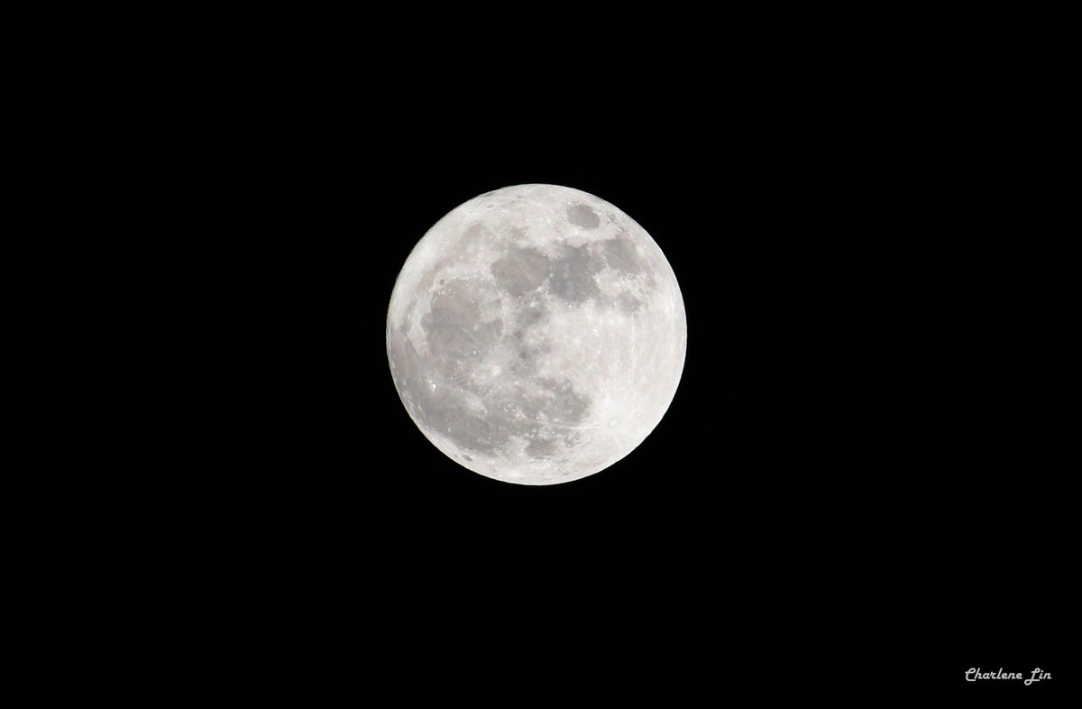 今日14日の満月は、月と地球の距離が今年最も近づくことから、通常よりも大きく見える🌝🌝💕