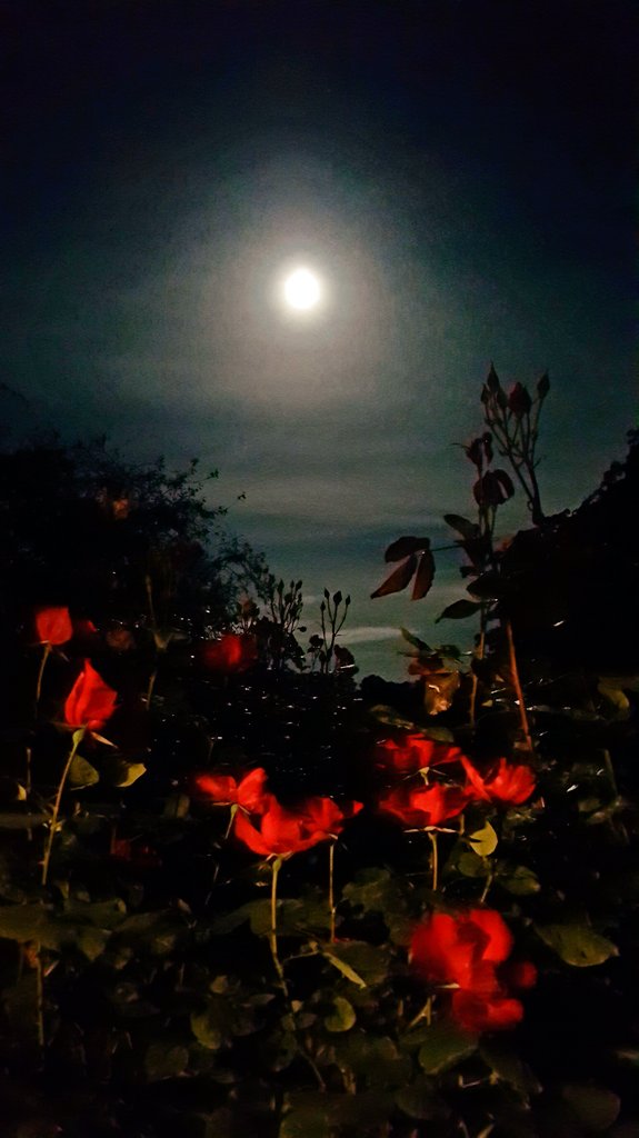 Paracombe Wines tweet media