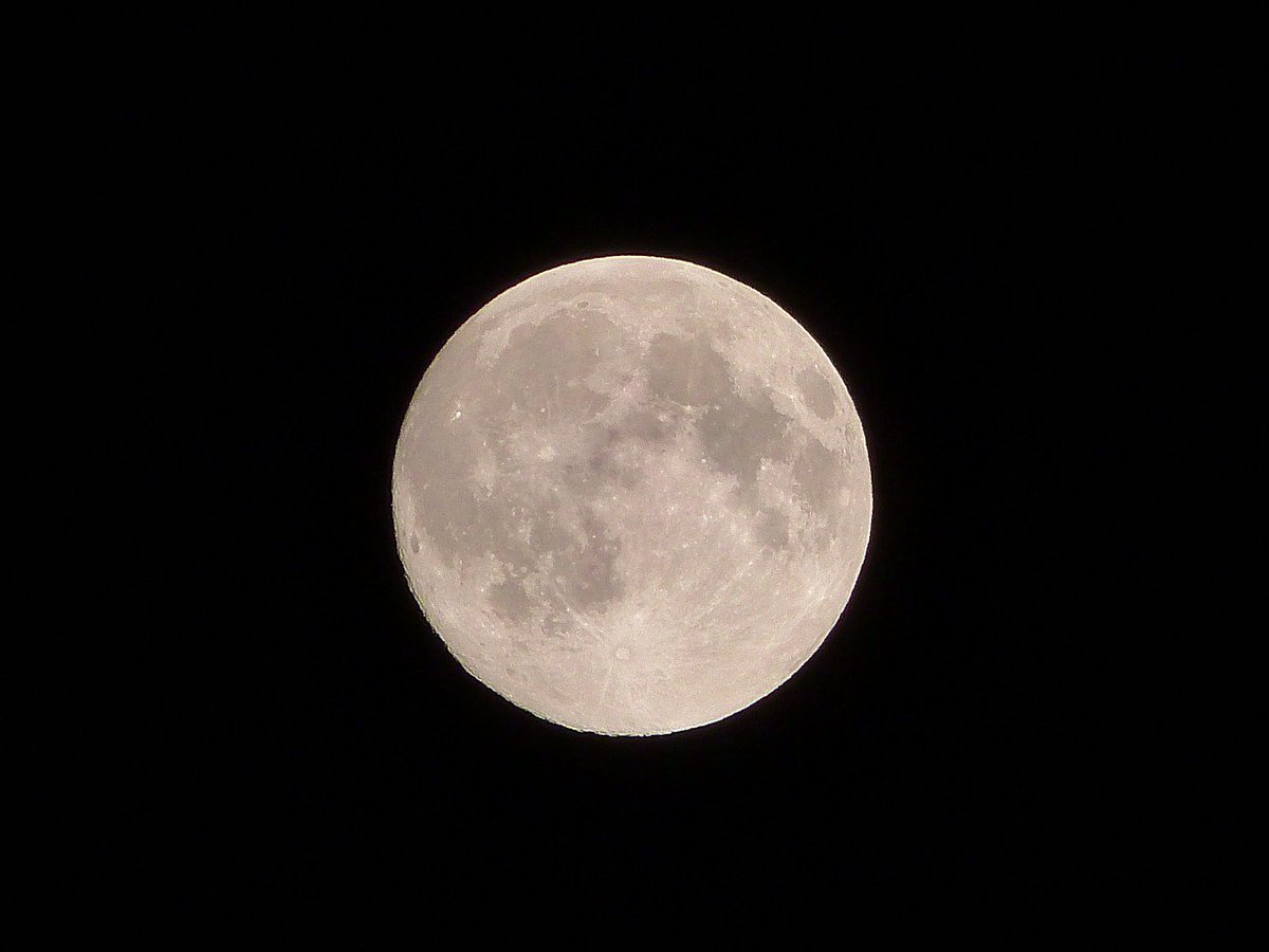 RomaLower's tweet photo. Questa sera dalle 21 sarà visibile la #SuperLuna e domani osservazione #gratuita presso l'#AccademiaDelleStelle. https://t.co/CCmBGSq6Jp https://t.co/SofXBFN88e