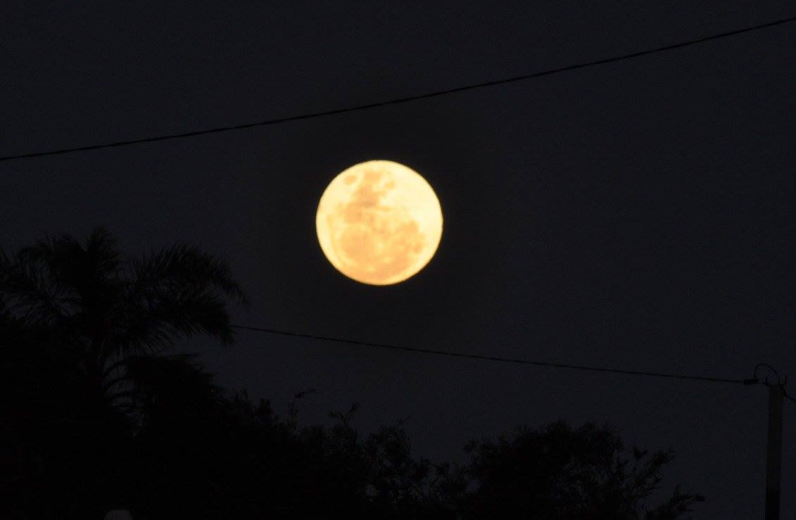 IOLandscapes's tweet image. Super Moon tonight - 70 years til the next one...#moon #Perth #Clearsky