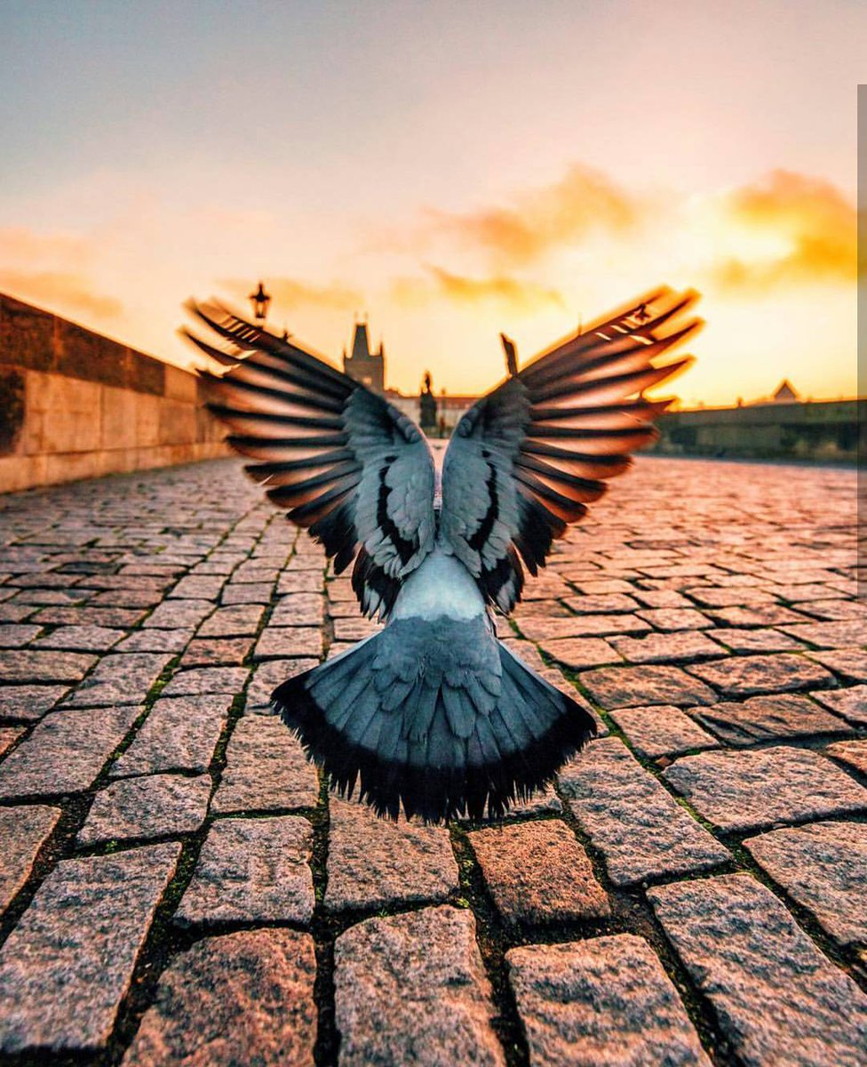AndreiAndrei63's tweet photo. Amazing photo. https://t.co/YCZ0NMMTr8