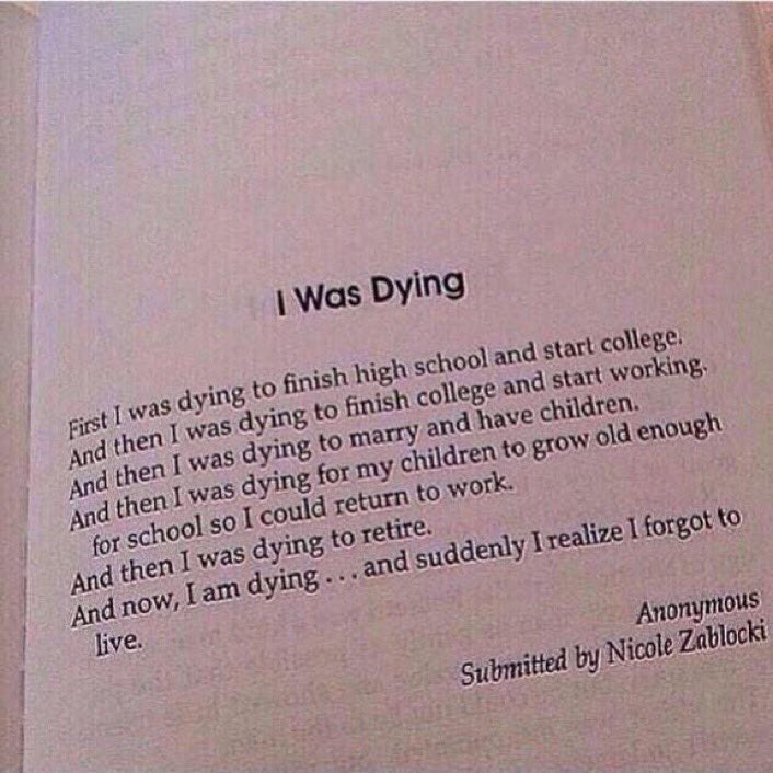 withpatterns's tweet image. i am dying