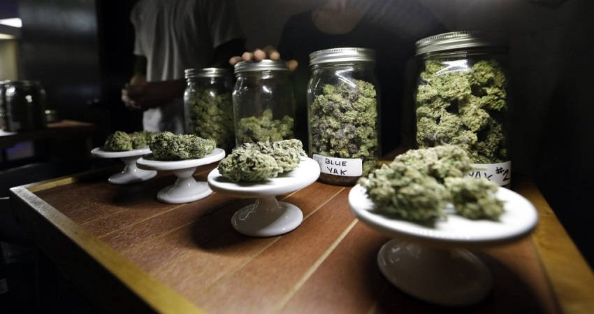 womengrow's tweet photo. Will #legal cannabis in California impact employers? Employer lawyers weigh in: https://t.co/J25OuGA0KQ https://t.co/XYNCnPiCiu