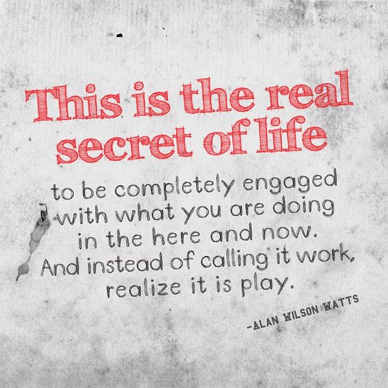 What are you. What can you do. What are you doing now картинки. Roosevelt do what. What's the matter with you песня.