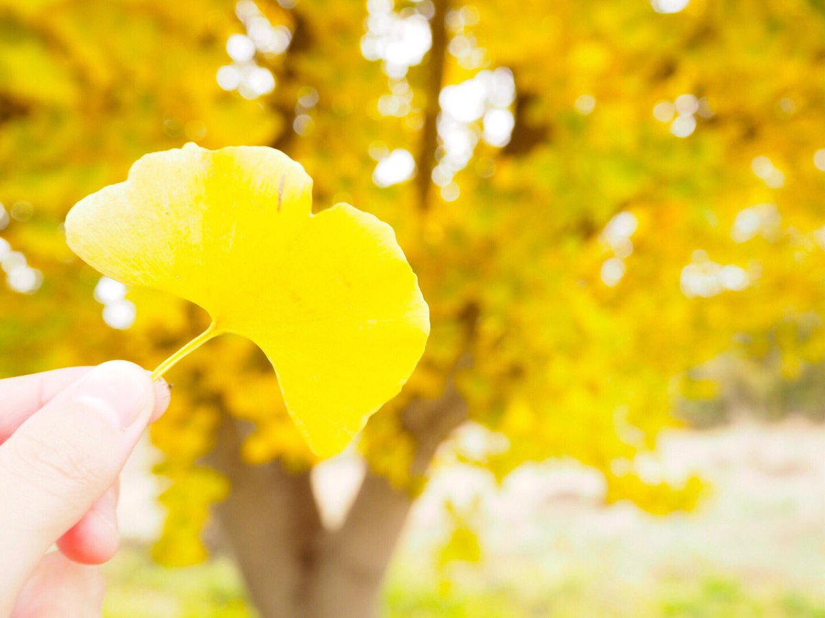 min___160 tweet picture