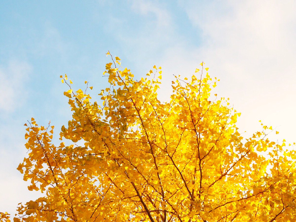 min___160 tweet picture