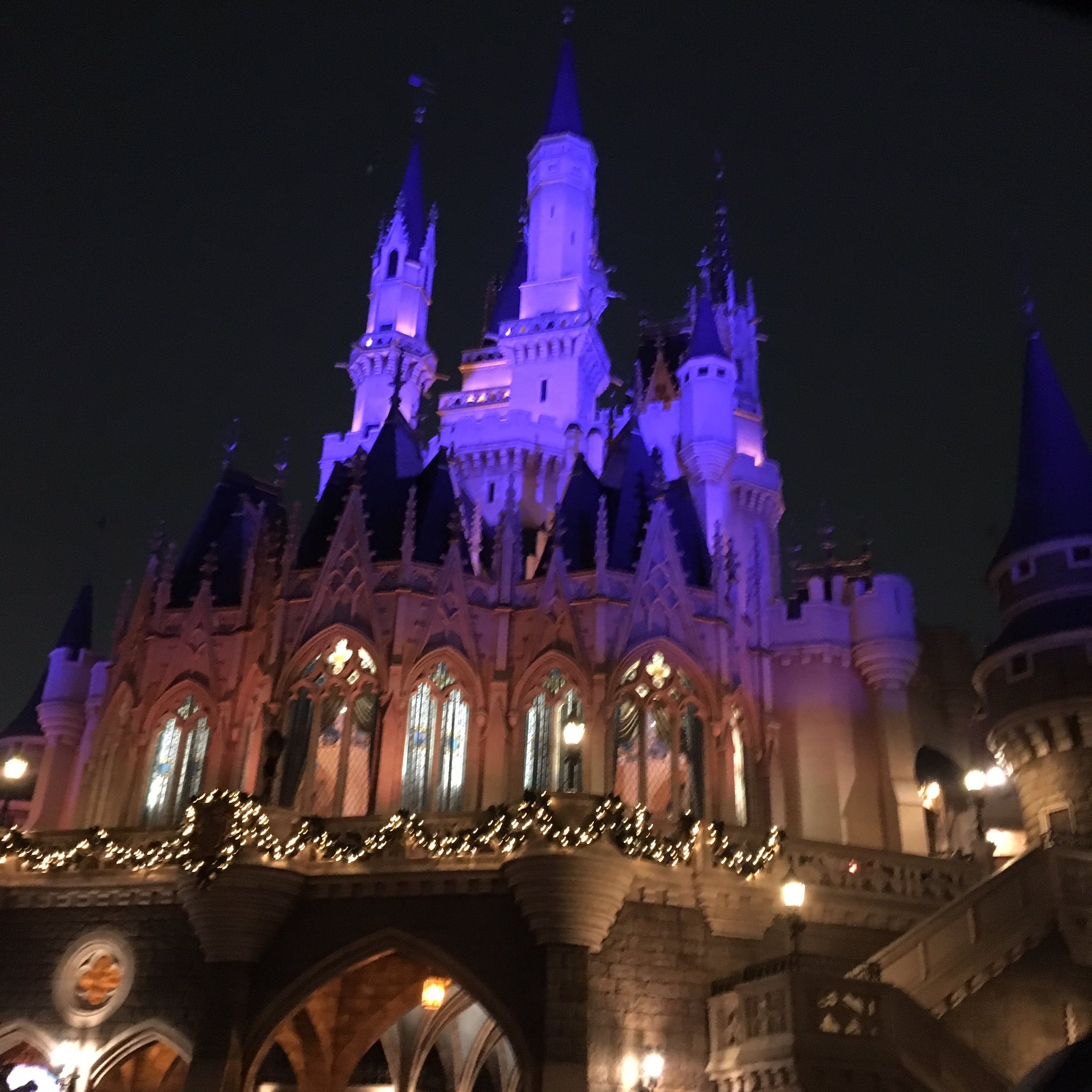 Peco Okuhira Tetsuko 今日夕方からディズニーランドに行ってきた クリスマスなディズニー最高でした かわいいなぁほんまに癒された 雨やったけどちょうたのしかった T Co Pkseq4f3fd Twitter