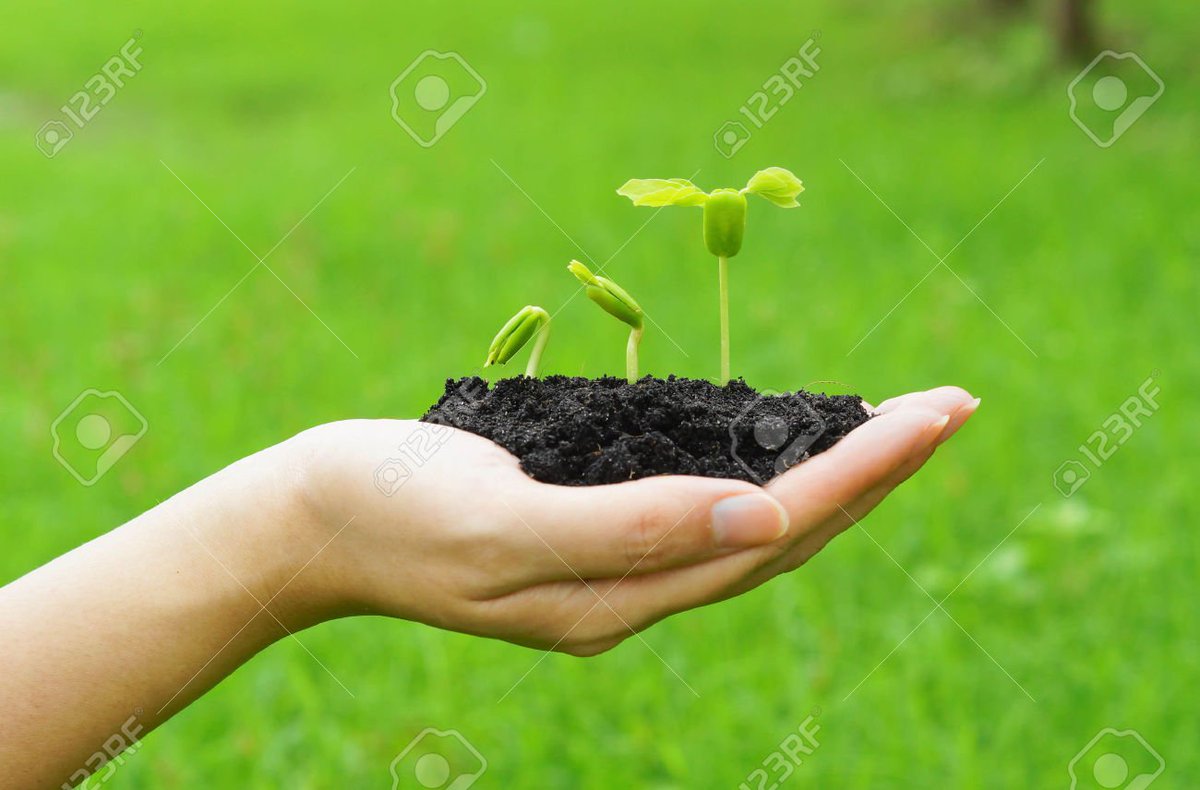 PHYTOPSP's tweet image. GERM PHYTP