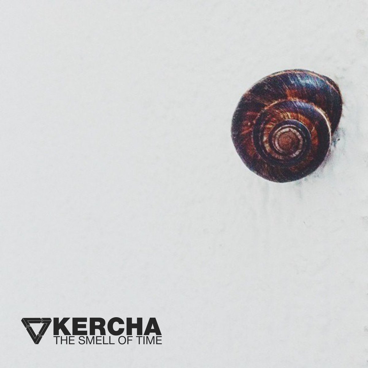 ansatz_digital's tweet photo. #Ansatz
#News
#Kercha
https://t.co/lnTocCoMiH https://t.co/wkv7DcV1Do