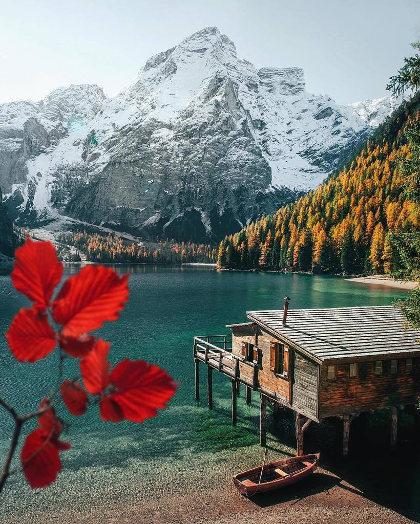 brahmino's tweet photo. { Monday } • Before the first snow, a touch of red for this new week on planet Earth. https://t.co/lBifJbE9fX