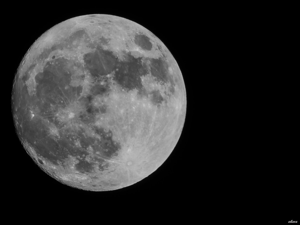 BestPlanForMe's tweet photo. Hoy Lunes 14/11 se produce la mayor y más brillante Luna desde 1948 y hasta 2034. Te la vas a perder? https://t.co/ll4gzlLz4h