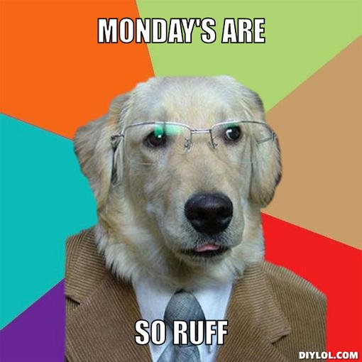 BusyBeeNYC's tweet image. #monday #ruff #work