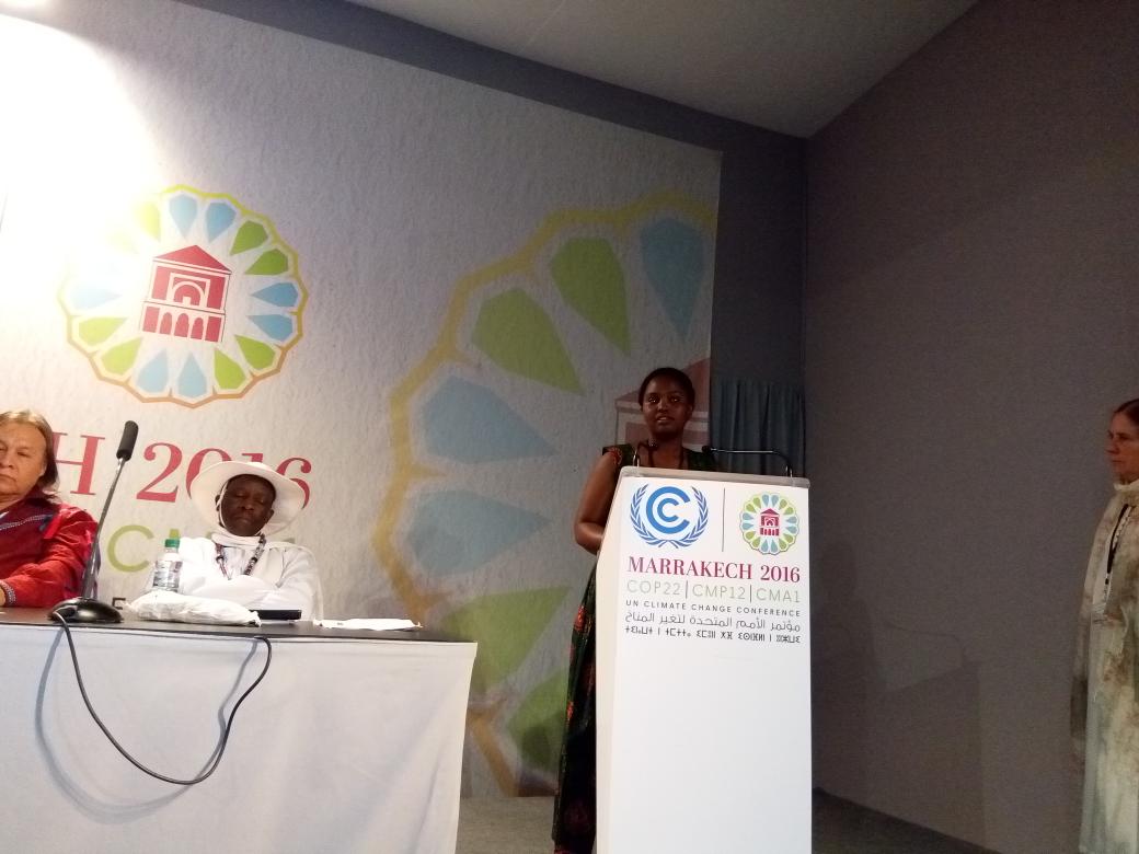 OlumideIDOWU's tweet photo. Youth making intervention during the Inner Dimension Conference going on at @COP22 #ShiftInsideOut #GPIW #COP22 https://t.co/rA78ZHDZBr