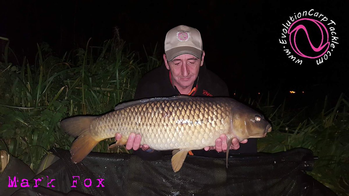 EvoCarpTackle's tweet photo. 3 small commons to 16lb using  evo line aligners and another on the ronnie rig using the Last Element 360 swivel.
https://t.co/pJQKNvmcpJ https://t.co/1leHvsQIOI