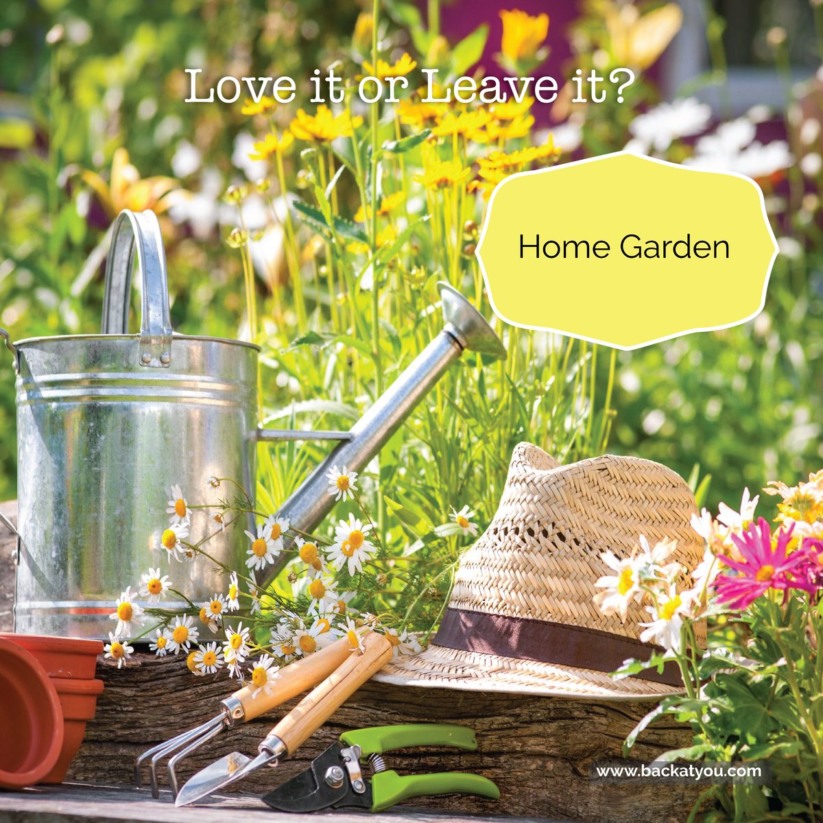 GordonCorey's tweet image. Home gardens are great if you have the time and the know-how to keep them going, but... facebook.com/15212593815648…