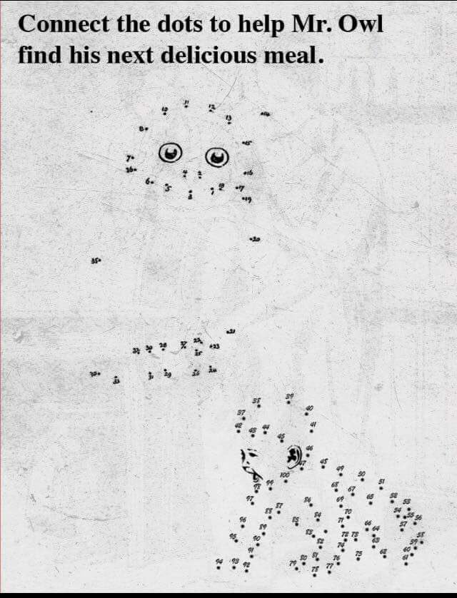 afhsowlmedia's tweet photo. In the @EdRisingAF program, they do fun activities like connect the dots... https://t.co/8xUYKB2KLJ