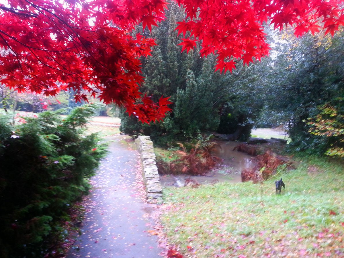 wemixmedia (@wemixmedia) on Twitter photo Loving fall... Loving fall...