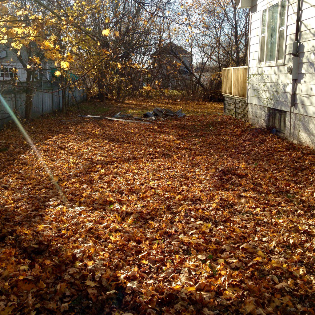 NBJude's tweet photo. So many left to go!! #FallWorkout! https://t.co/u6gtTZEBkQ