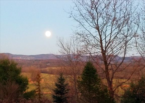 capaghort's tweet photo. The Supermoon will be on display tonight! Don't miss as it rises!!
#supermoon #novembersupermoon #fullmoon https://t.co/NwZKYHgG4h