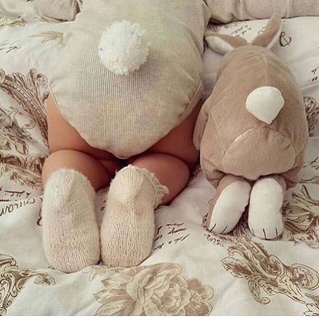 dalidragibus1's tweet photo. 💤💤💤💤❤️ https://t.co/nnPMGeA4CS