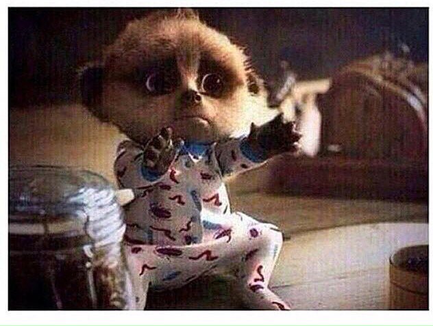 jaysonlamberttt's tweet image. @Drdremc