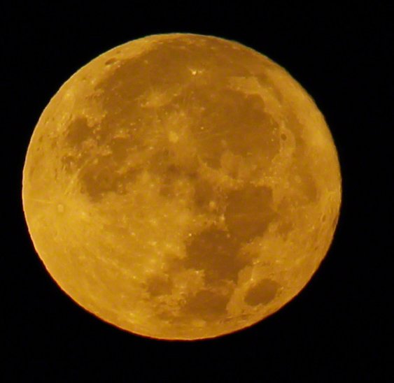 cineastographer's tweet photo. Worth waking up at 5:45 a.m. today. Super Moon at it's fullest. More pics to come! #Supermoon #moon #MoonLovers #500pxrtg #2016supermoon https://t.co/dlimCCwofZ