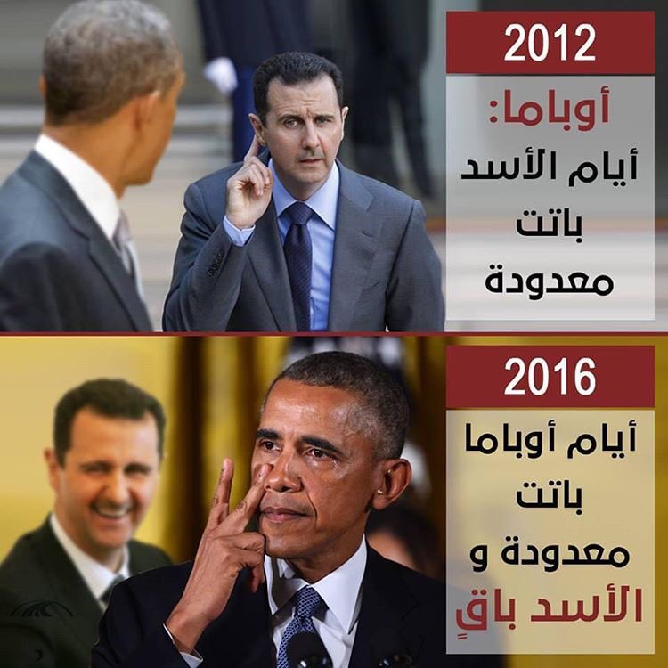 . tweet media