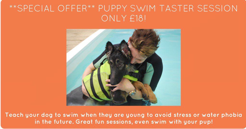 Moredge's tweet photo. #puppyswim #canine #puppy #puppylove #funswim #puppy learns to swim https://t.co/JetFWg62cv