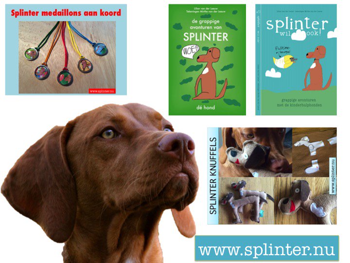 LiliansFotogr's tweet photo. @hondenzaken @Kinderboeken01 Dit is 'm: Splinter! #boeksplinter #kadotip #goeddoel #moederdochterproject https://t.co/L04ebPUtE0