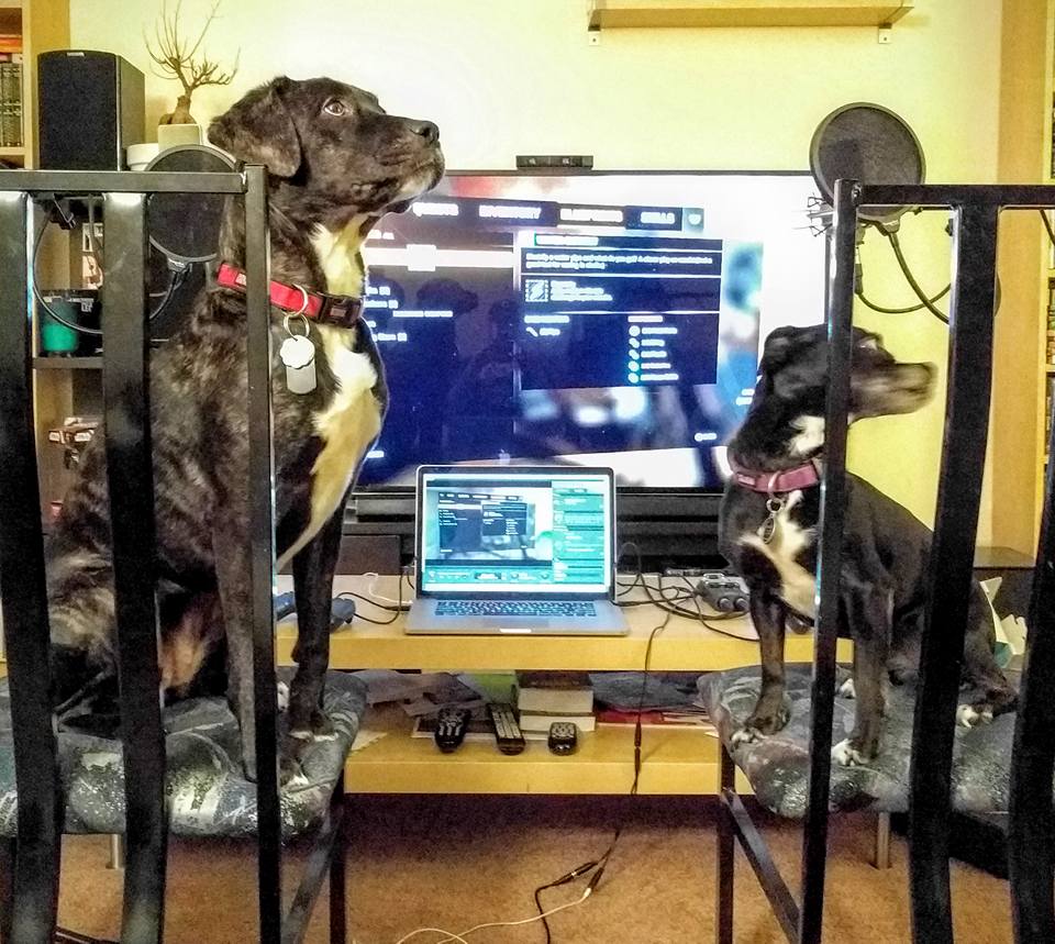 FirstWorstGames's tweet photo. We are getting back into it. Get ready. #FWG https://t.co/pfkjU1z0E3