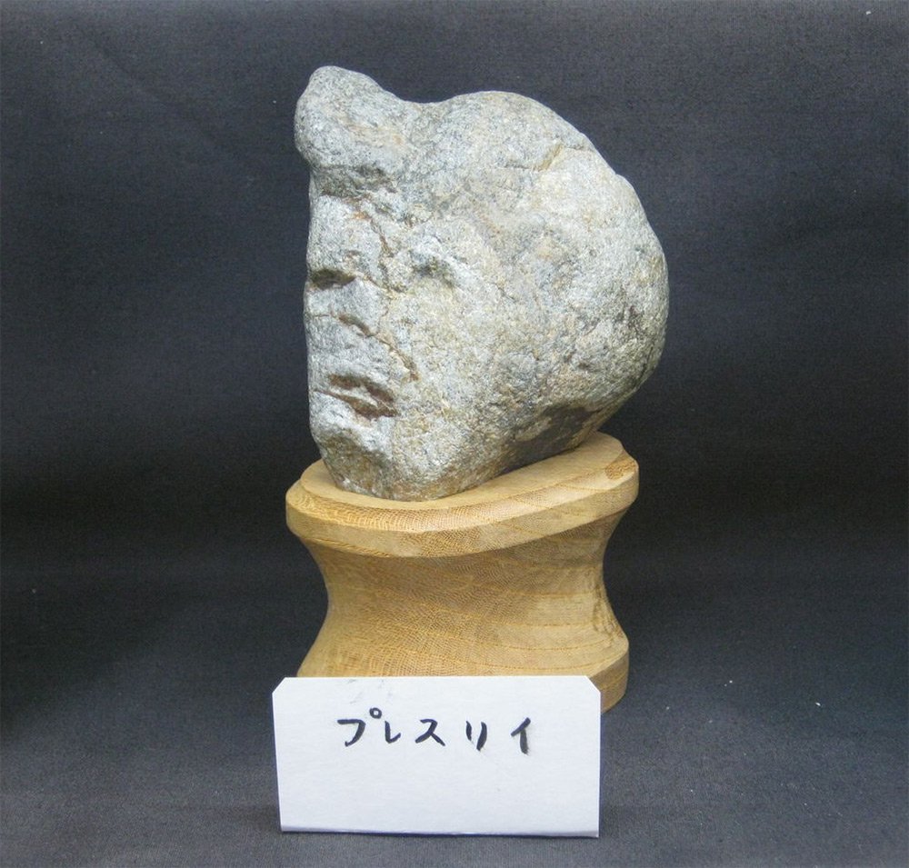 thisiscolossal's tweet image. In Japan there's an entire museum of found rocks that appear to have human faces, also called "jinmenseki". thisiscolossal.com/2016/11/the-ja…